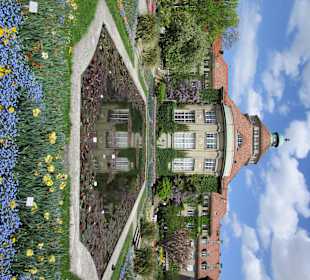 Botanisches Institut