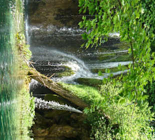 wunderschöne Natur pur