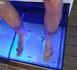 Putzerfische für weiche Füße