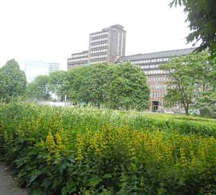 Parkanlage Planten un Blomen