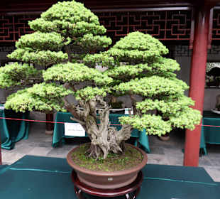 Yu Garden