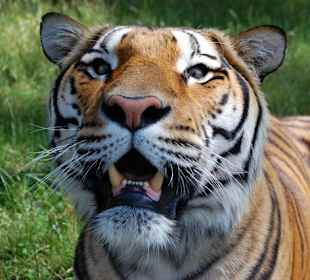 Serengeti Park Hodenhagen