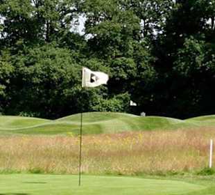 Rough schützt das Green