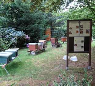 Im Bienengarten der Graftanlagen