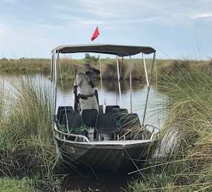 Bootstour im Okavangodelta
