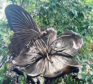 Botanischer Garten