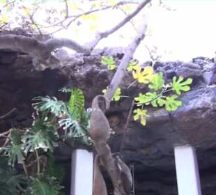 Fundacion Cesar Manrique