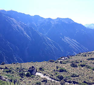 Colca-Canyon