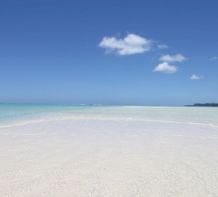 Auf der Sandbank vor Honeymoon Island