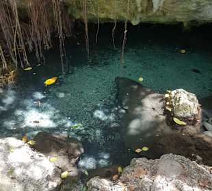 Tour & Ausflug Bayahibe