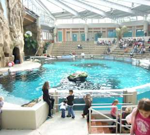 Delphinarium Duisburg