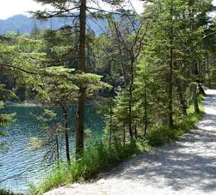 Wanderweg am Eibsee