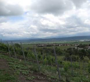 Schutzgebiet Spitzberg, Pfaffenberg