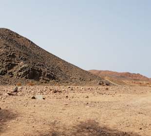 Quad Tour Marsa Alam