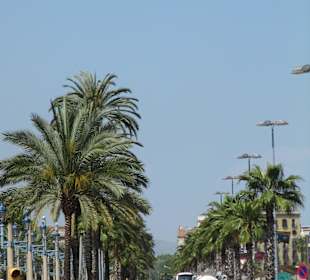 Ulica wzdłuż portu