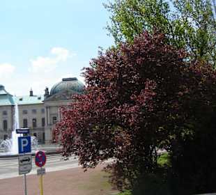 Pałac zwinger