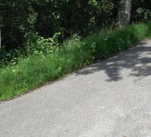 HAP Grieshaber Rundweg