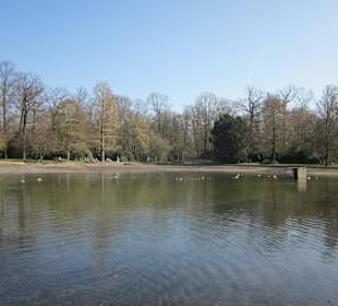 Der Botanische Garten im März 14