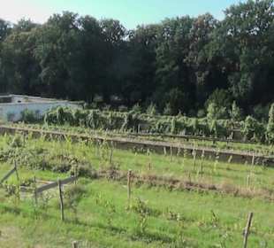 Belvedere am Klausberg