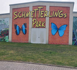 Schmetterlingsgarten