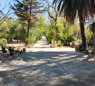 Ausgrabungen Karthago