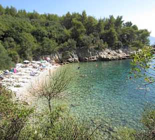 Bucht
