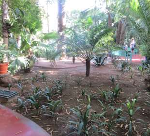 Eindrücke aus dem Jardin Majorelle Garten