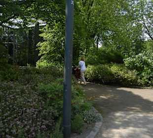 Parkanlage Planten un Blomen