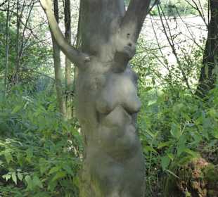 Baumstock der Daphne, Geliebte Apollon