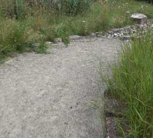 ALB-GOLD Naturgarten