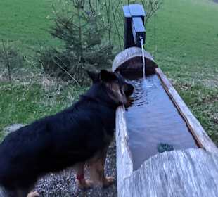 Wandern Todtnauberg