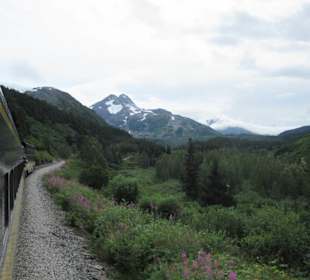 Mit der Train in der Natur Alaskas