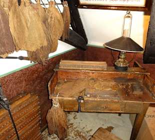 Rundgang durch die Ausstellung des Museums