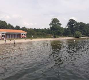Großer Plöner See