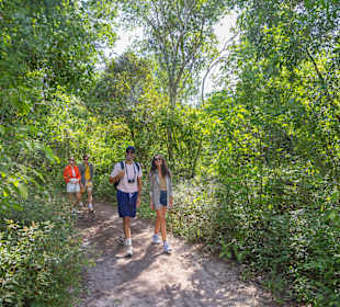 Tour & Ausflug Bayahibe