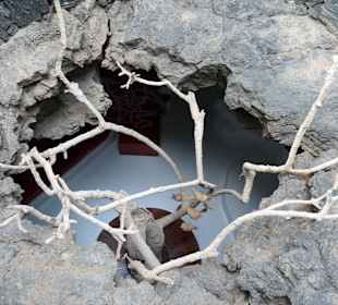 Fundacion Cesar Manrique