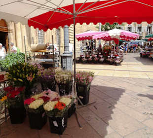 Eindrücke vom Blumenmarkt in Aix-en-Provence