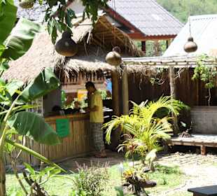 Der Garten im Restaurant