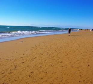 Aufgenommen am 29.11.2013