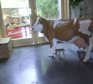 Wellnessbereich Mawell Resort 