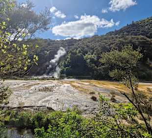 Waimangu Volcanic Valley