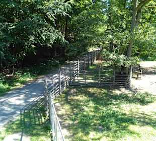 Auf dem Lehrpfad am Gehege entlang