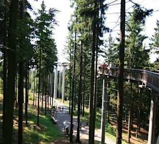 Wald Wipfel Weg mit Erlebnispfad in Sankt Englmar