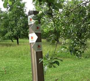 Premiumspazierweg Früchtetrauf-Leisawegle