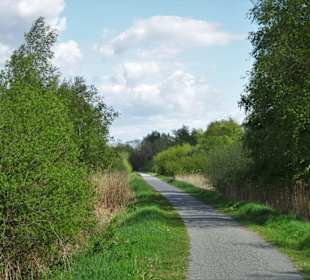 Impressionen vom Bederkesaer See