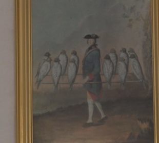 Museum Rosenburg