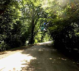 Impressionen aus dem Bürgerpark