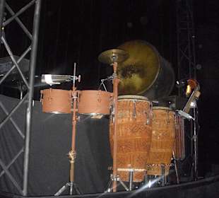 König der Löwen - Bongos