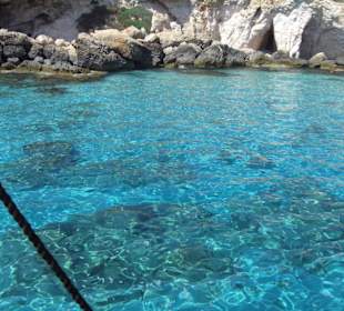 2. Schwimmstop wieder klares Wasser