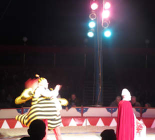 Landauer Weihnachtcircus 2016